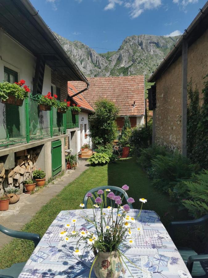 Kristaly Vendeghaz Hotel Rimetea Bagian luar foto
